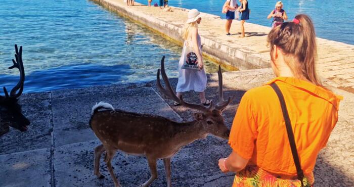 Merő Páros vitorlázás
